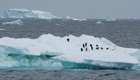 say experts, Antarctica hits record temp...
